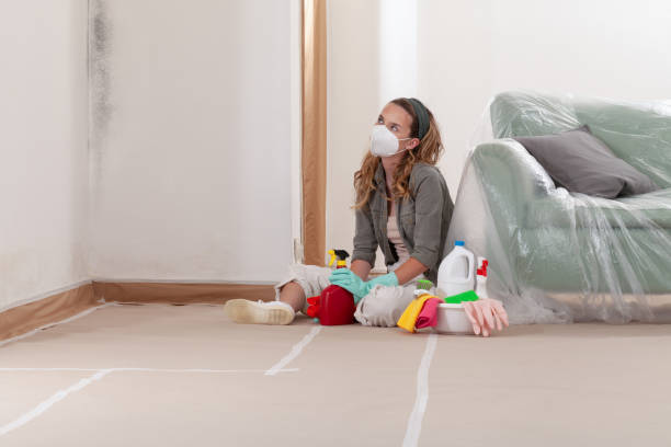 Reliable Mold Removal contractor in Phoenix, AZ by WQB Mold Removal